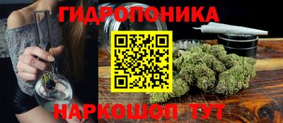 индика Старая Купавна