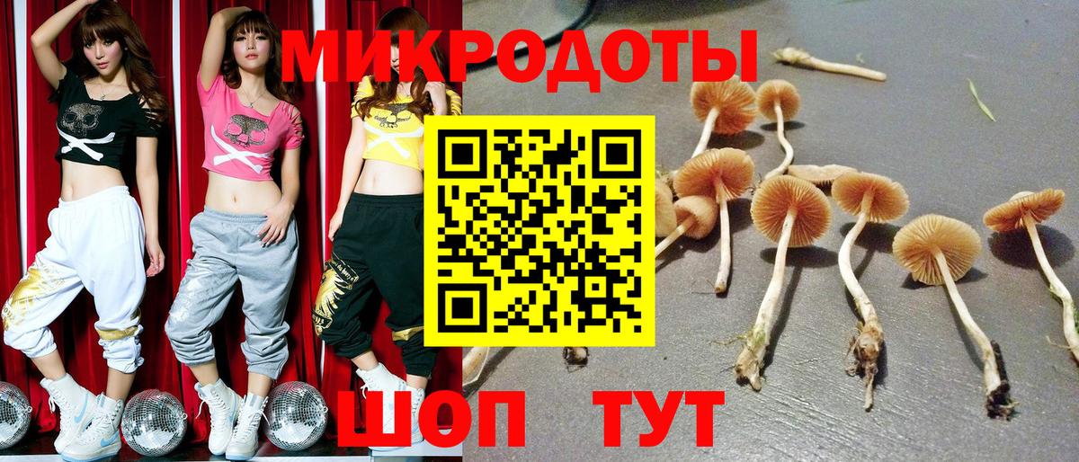 Псилоцибиновые грибы Psilocybe  Псилоцибиновые грибы ЛСД  Новокубанск  Вход с VPN 